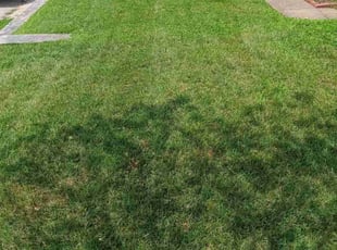 Peggy R.'s lawn maintenance service result