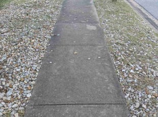 Robin D.'s turf care service result