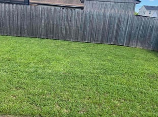 Peter M.'s lawn maintenance service result