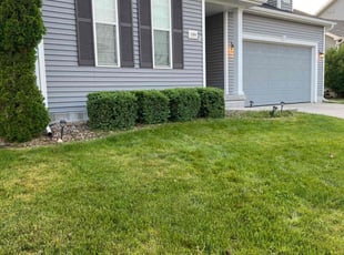 Jacob C.'s Bush Trimming service result