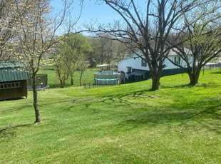 Vendra C.'s lawn maintenance service result
