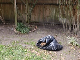 Rochelle W.'s Leaf Removal service result