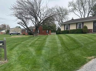 Sabrina W.'s turf care service result