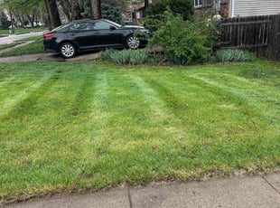 John G.'s lawn care service result