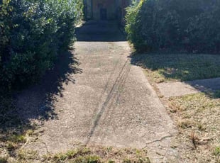 Alberico T.'s turf maintenance service result