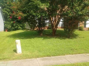 Gigi J.'s lawn care services service result