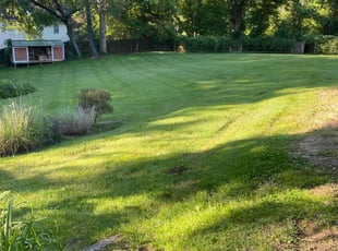 Sarah G.'s lawn service service result