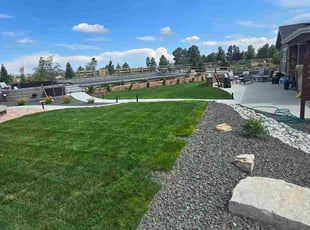 Douglas H.'s turf care service result