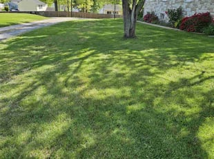 Mike J.'s turf care service result