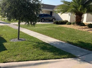 Mark K.'s turf maintenance service result