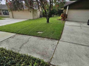 Amanda M.'s turf maintenance service result