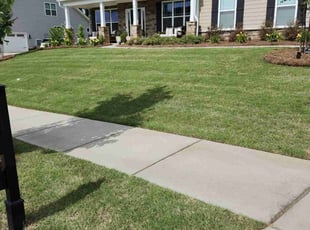 Tim C.'s grass maintenance service result
