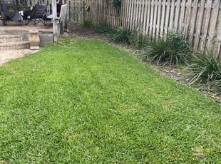 Laura G.'s turf care service result