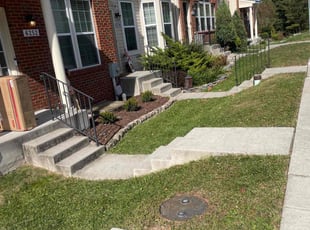 Tharyll P.'s lawn care service result