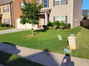 Richard C.'s turf maintenance service result