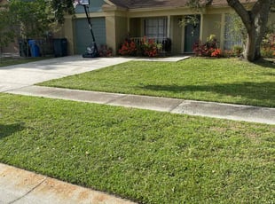 Gena A.'s grass cutting service result