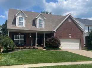 Vincent T.'s turf care service result