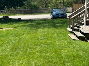 Paul O.'s lawn care service result