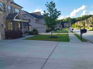 Donna M.'s grass maintenance service result