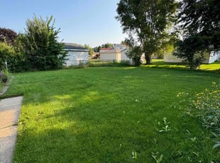 Diana K.'s grass cutting service result