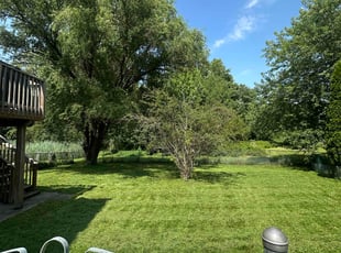 Donald G.'s grass cutting service result