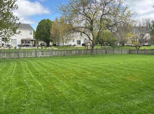 Diane B.'s lawn care services service result
