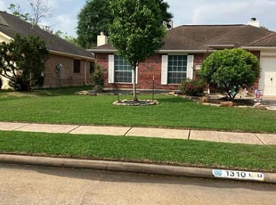 Jamie M.'s grass cutting service result