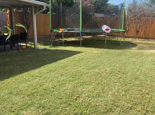 Lori J.'s lawn care service result