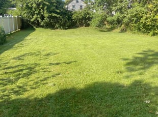 Ed M.'s grass cutting service result