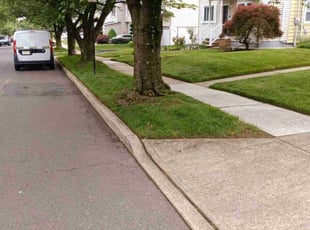 Francine G.'s lawn service service result