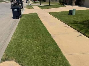 Anna B.'s lawn service service result