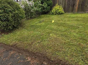 Dionnea M.'s lawn maintenance service result