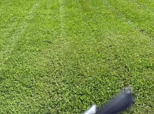 Jane D.'s lawn service service result