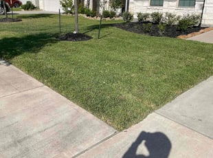 Mary C.'s lawn care service result