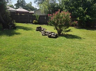 Jackie W.'s turf maintenance service result