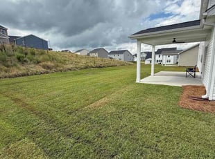 Linda D.'s turf care service result