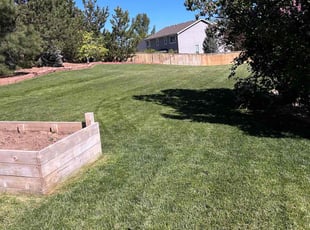 Jennifer A.'s turf maintenance service result