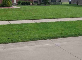Nita H.'s lawn service service result