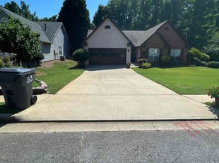 Adrian C.'s lawn service service result