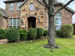 Kimberly S.'s Bush Trimming service result