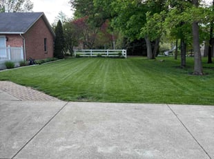 Melissa K.'s yard maintenance service result