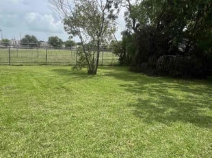 Seleste B.'s lawn care service result