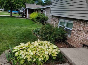 Marvin H.'s Flower Bed Weeding service result