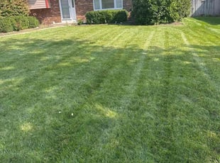 Cheryl M.'s lawn maintenance service result