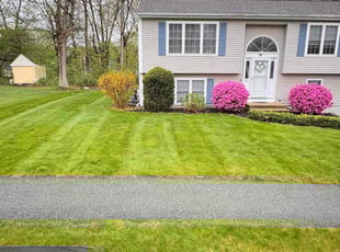 Paul R.'s turf maintenance service result