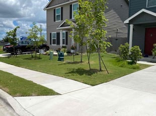 Zaid A.'s grass maintenance service result