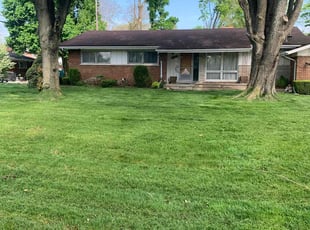 Hanan H.'s lawn care service result