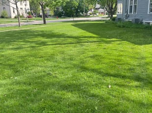 Wes L.'s yard care service result