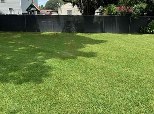 Grace B.'s turf care service result