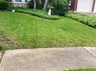 Garry k.'s lawn care services service result